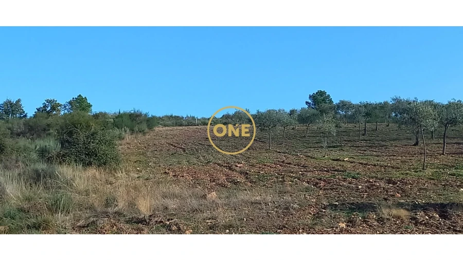 Terreno para Venda em Argozelo Foto 2