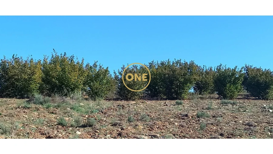 Terreno para Venda em Argozelo Foto 5