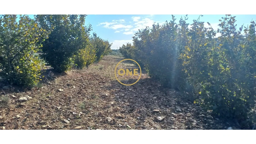 Terreno para Venda em Argozelo Foto 4