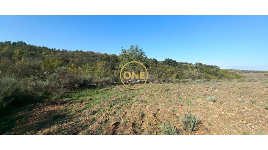 Terreno para Venda em Argozelo Foto 3