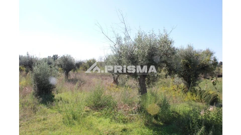 Terreno para Venda em Alcains