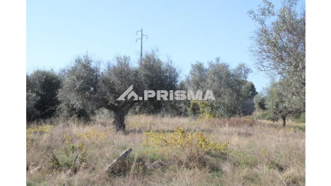 Terreno para Venda em Alcains