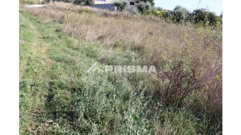 Terreno para Venda em Alcains