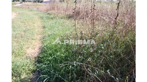 Terreno para Venda em Alcains