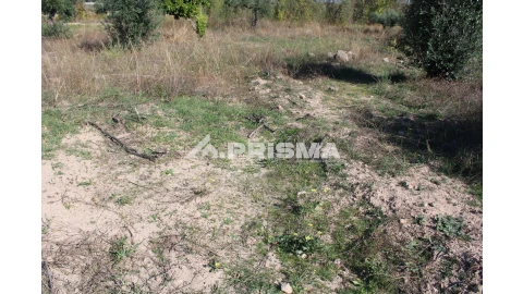 Terreno para Venda em Alcains