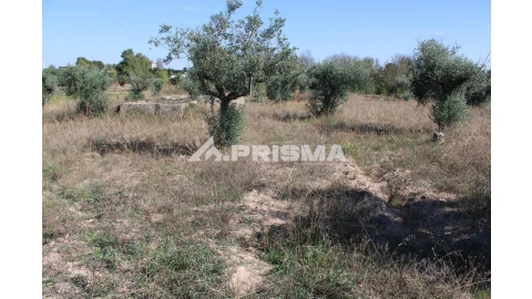 Terreno para Venda em Alcains