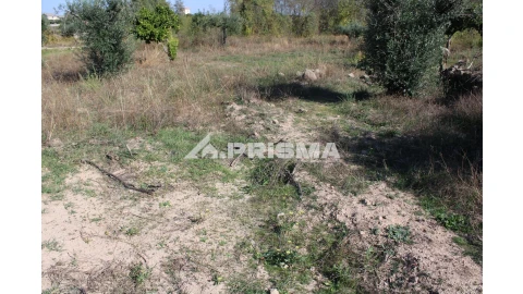 Terreno para Venda em Alcains