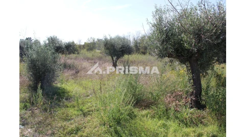 Terreno para Venda em Alcains