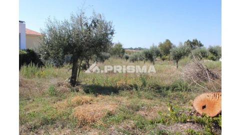 Terreno para Venda em Alcains