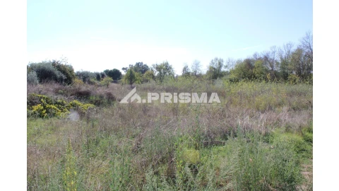 Terreno para Venda em Alcains