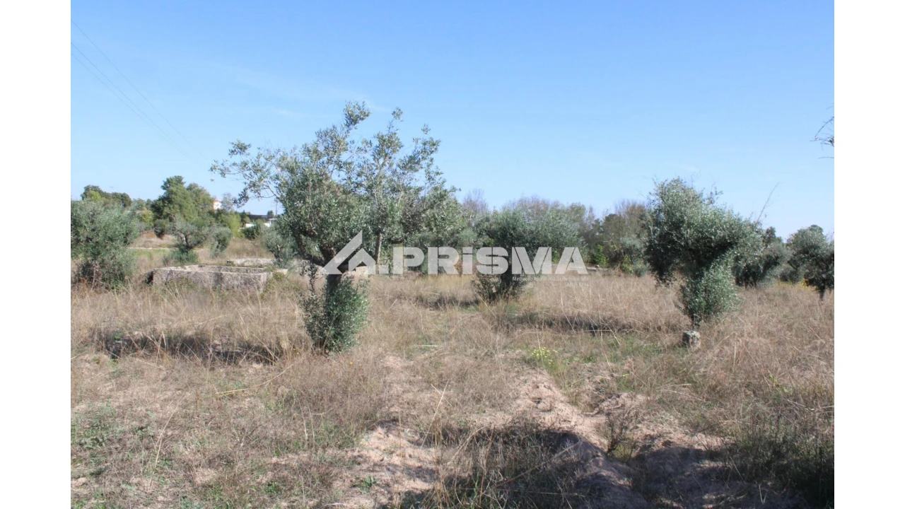 Terreno para Venda em Alcains Foto 3