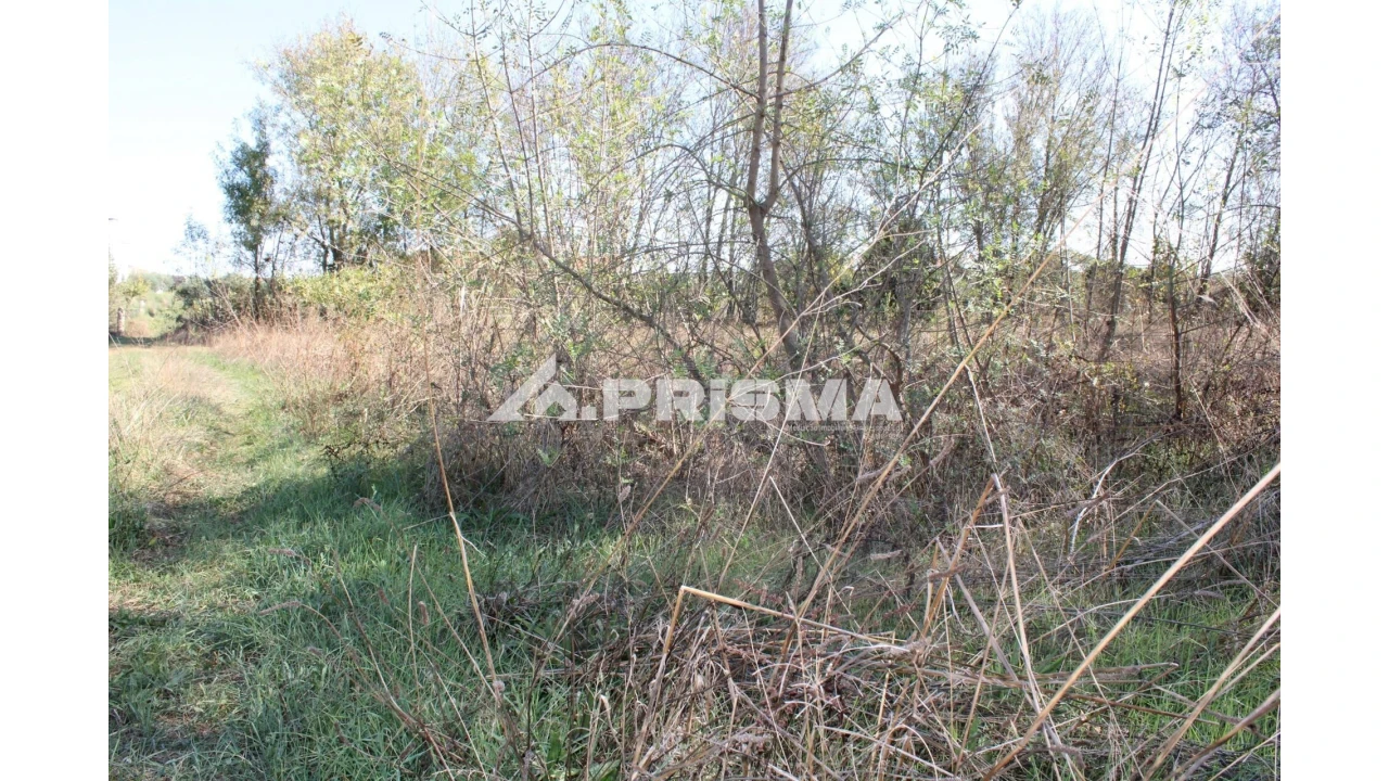 Terreno para Venda em Alcains Foto 16