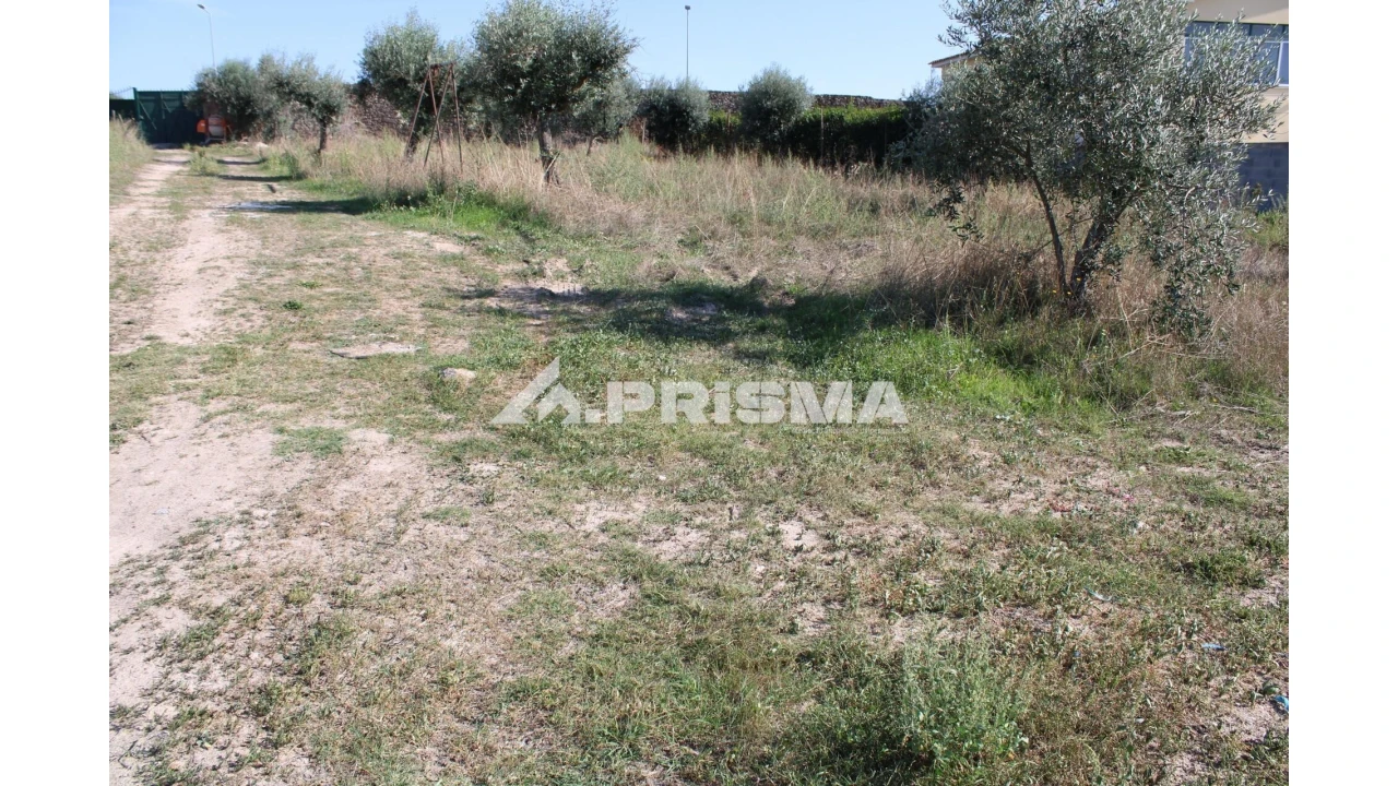 Terreno para Venda em Alcains Foto 31
