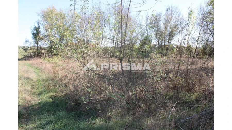 Terreno para Venda em Alcains Foto 15
