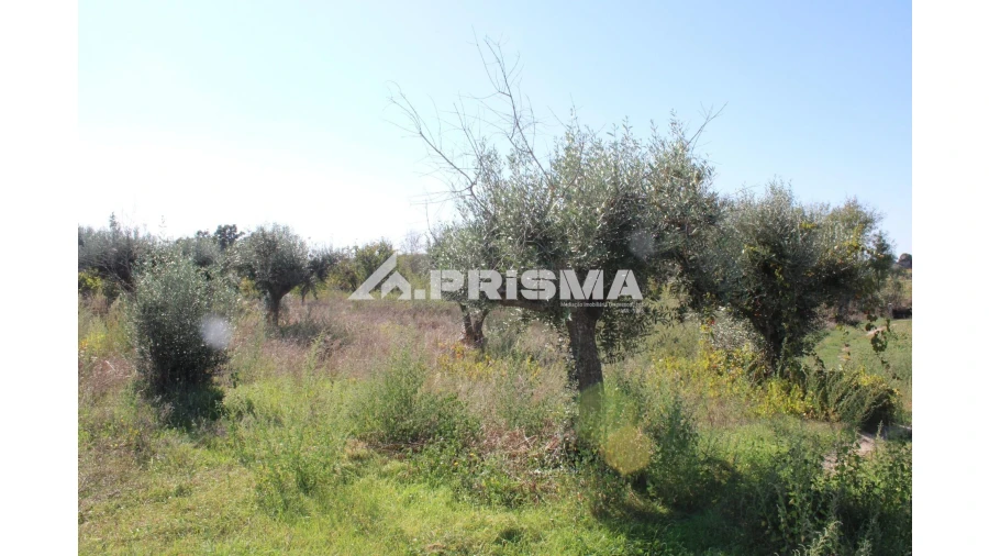 Terreno para Venda em Alcains Foto 2