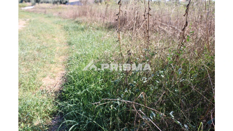 Terreno para Venda em Alcains Foto 14