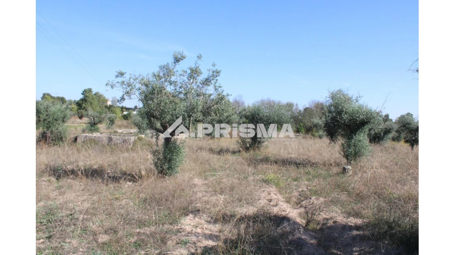 Terreno para Venda em Alcains Foto 3
