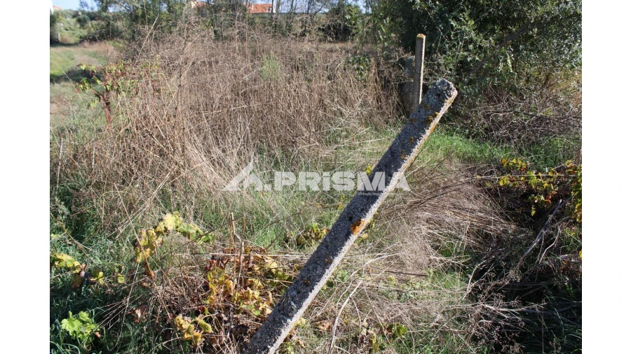 Terreno para Venda em Alcains Foto 29