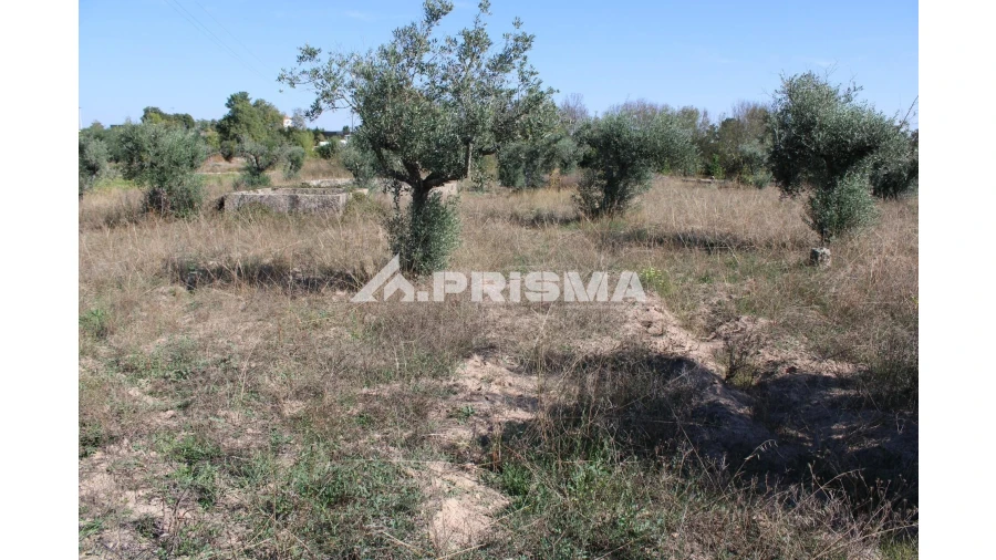 Terreno para Venda em Alcains Foto 23