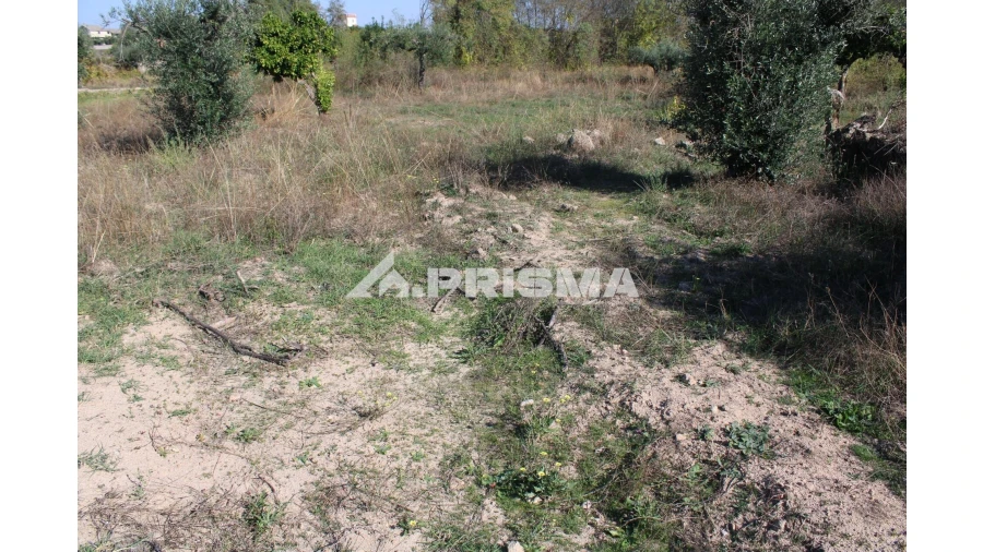 Terreno para Venda em Alcains Foto 26