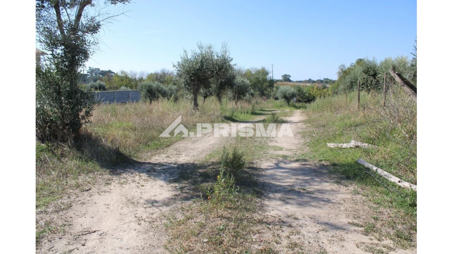 Terreno para Venda em Alcains Foto 5