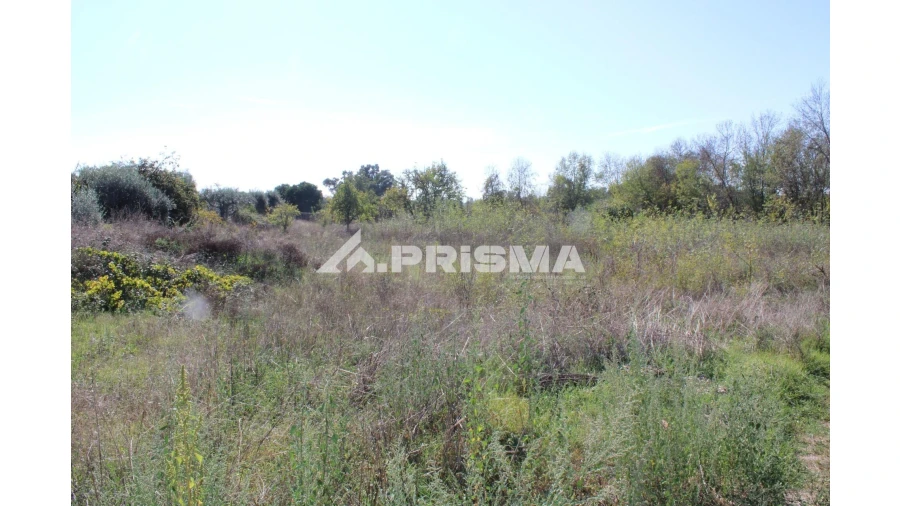 Terreno para Venda em Alcains Foto 9