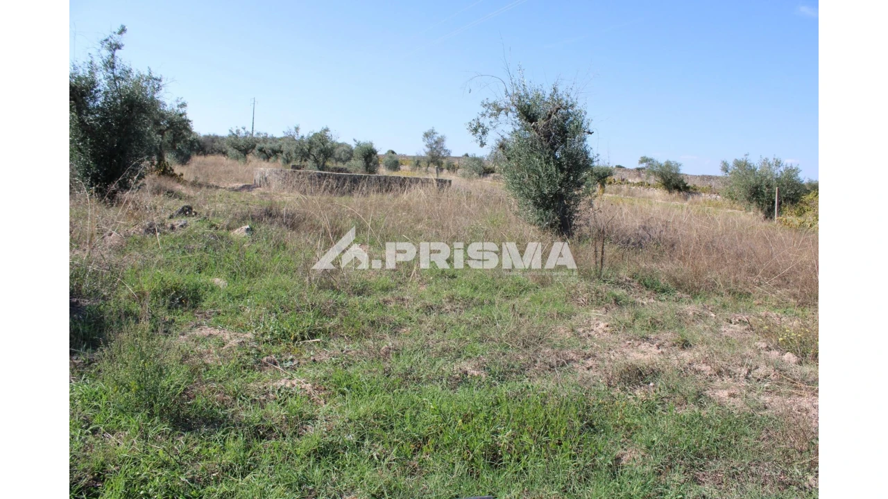 Terreno para Venda em Alcains Foto 18