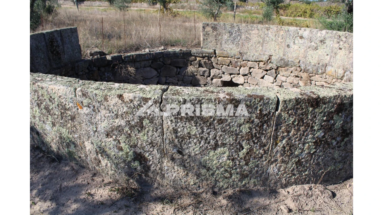 Terreno para Venda em Alcains Foto 28