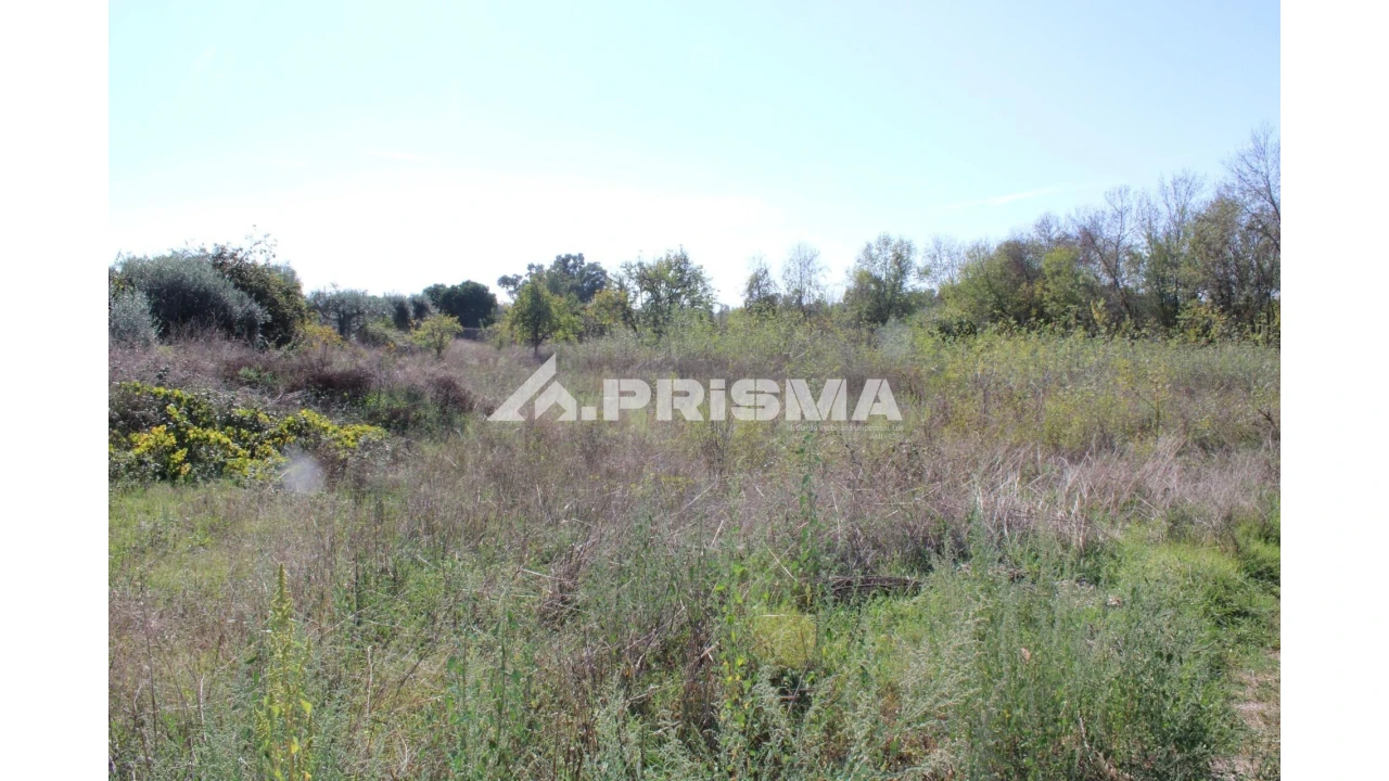 Terreno para Venda em Alcains Foto 9