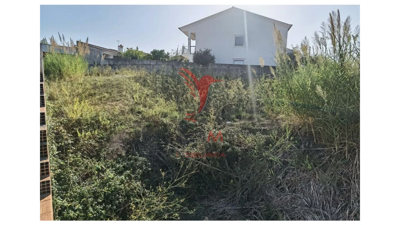 Terreno para Venda em Achete, Azoia de Baixo e Póvoa de Santarém Foto 11