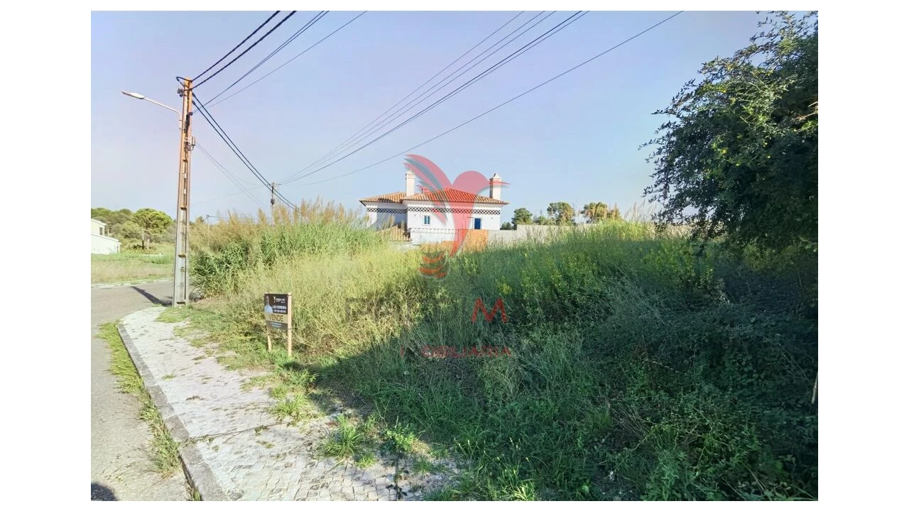 Terreno para Venda em Achete, Azoia de Baixo e Póvoa de Santarém Foto 15
