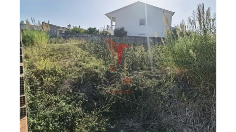 Terreno para Venda em Achete, Azoia de Baixo e Póvoa de Santarém