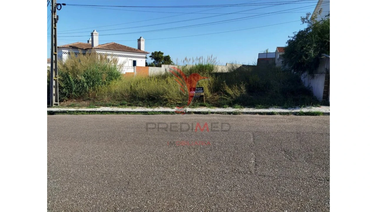 Terreno para Venda em Achete, Azoia de Baixo e Póvoa de Santarém Foto 6
