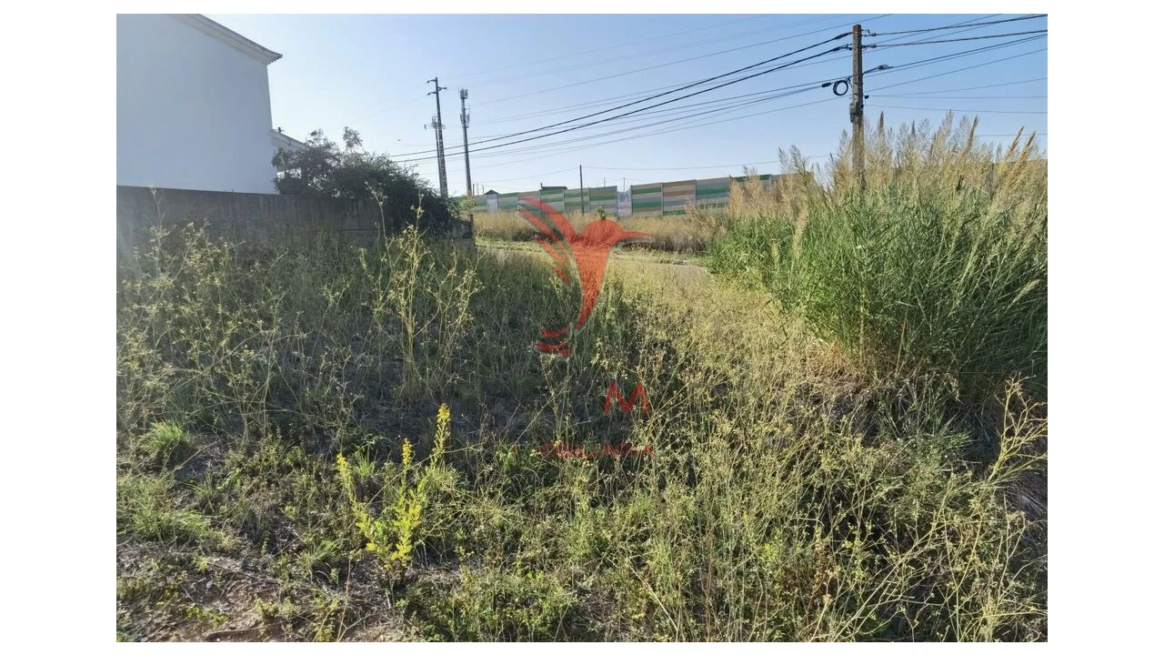 Terreno para Venda em Achete, Azoia de Baixo e Póvoa de Santarém Foto 12