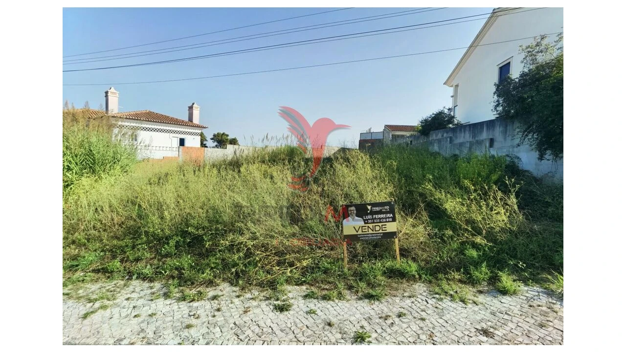 Terreno para Venda em Achete, Azoia de Baixo e Póvoa de Santarém Foto 16