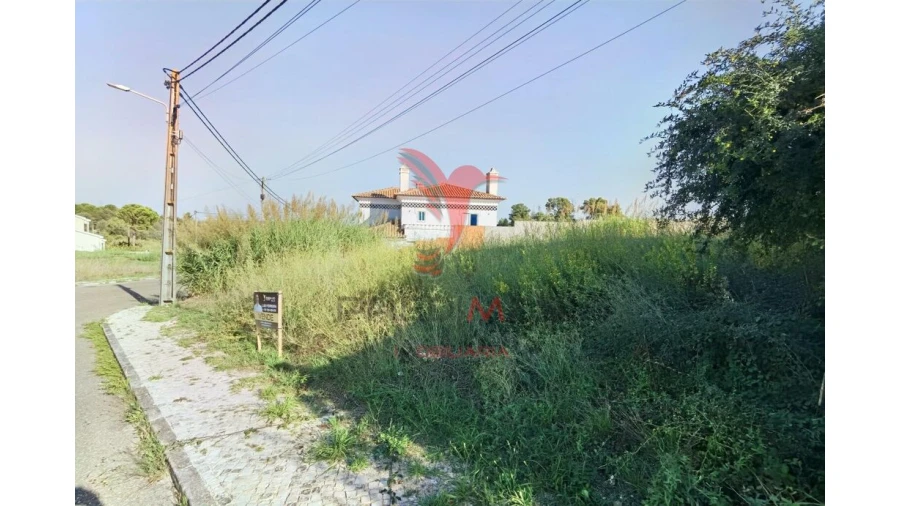 Terreno para Venda em Achete, Azoia de Baixo e Póvoa de Santarém Foto 15