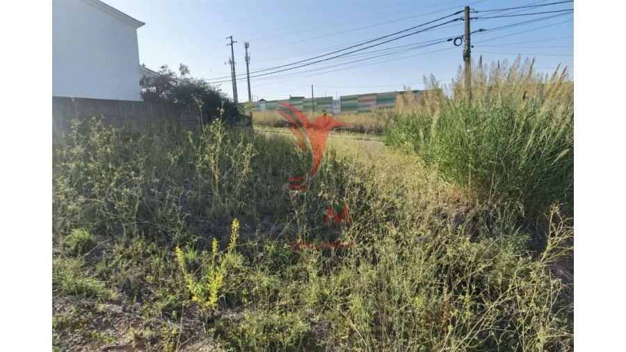 Terreno para Venda em Achete, Azoia de Baixo e Póvoa de Santarém Foto 12