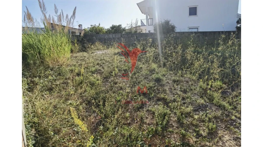 Terreno para Venda em Achete, Azoia de Baixo e Póvoa de Santarém Foto 13