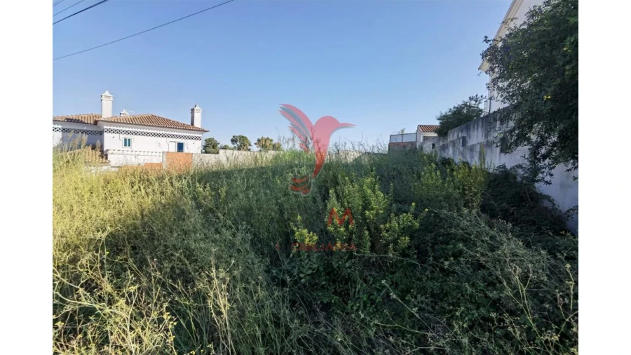 Terreno para Venda em Achete, Azoia de Baixo e Póvoa de Santarém Foto 7