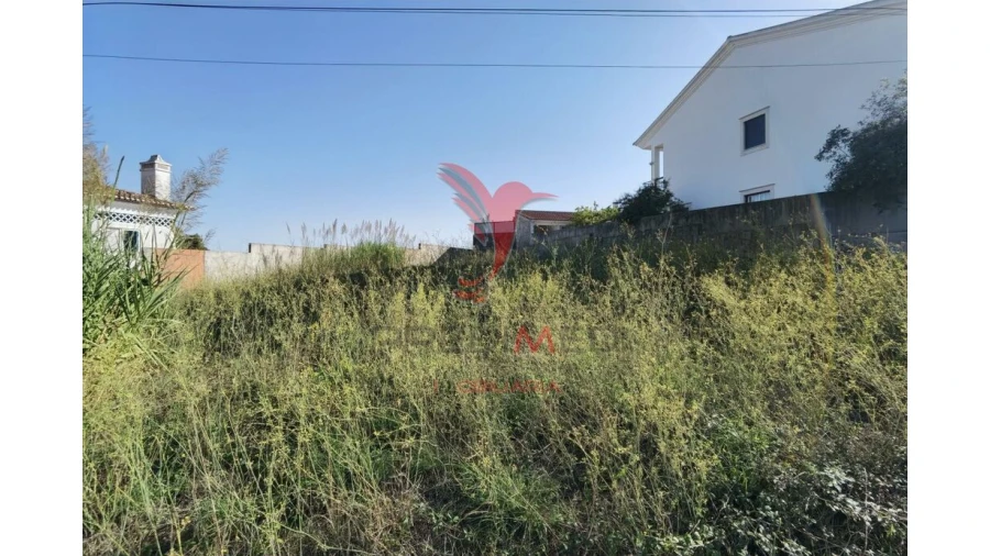 Terreno para Venda em Achete, Azoia de Baixo e Póvoa de Santarém Foto 8