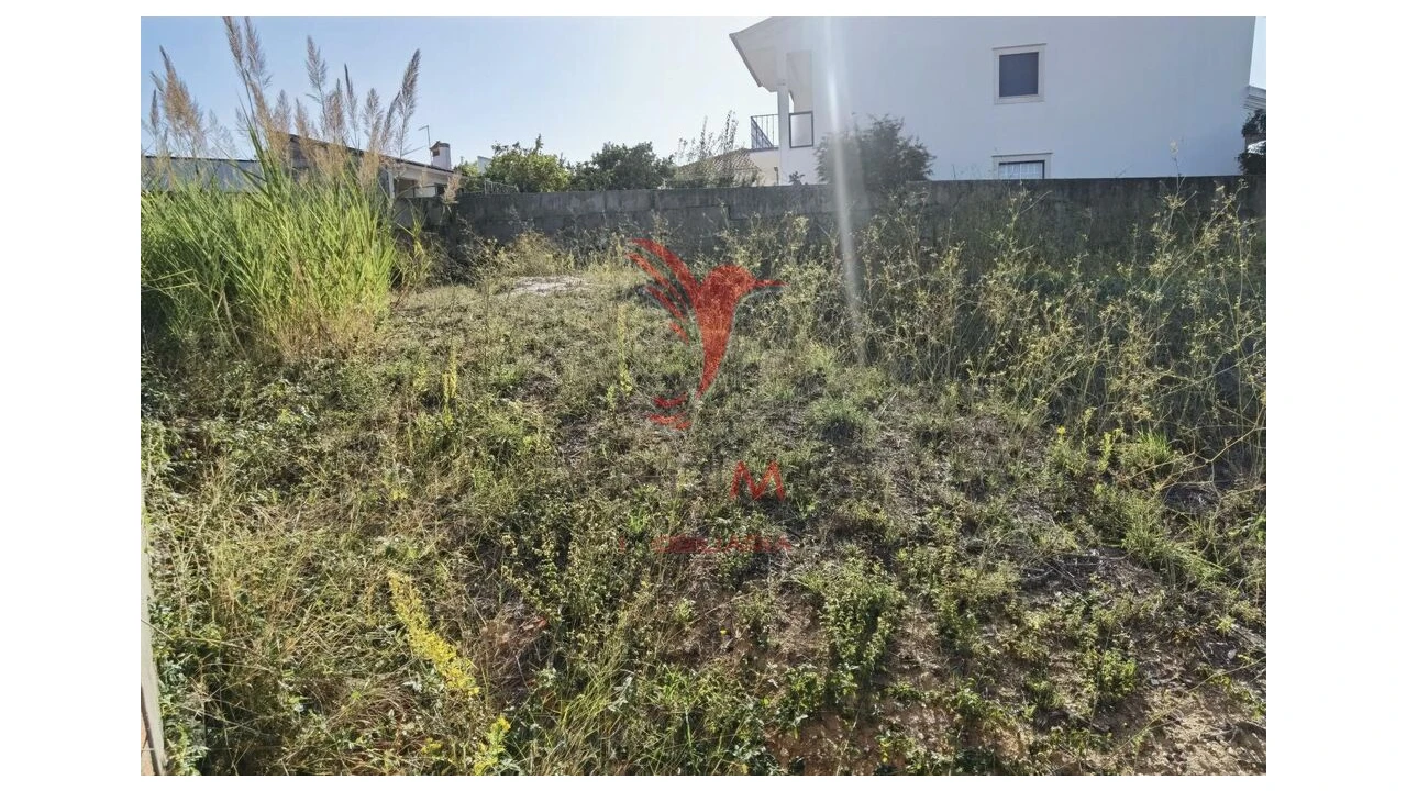 Terreno para Venda em Achete, Azoia de Baixo e Póvoa de Santarém Foto 13