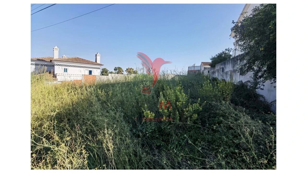 Terreno para Venda em Achete, Azoia de Baixo e Póvoa de Santarém Foto 7