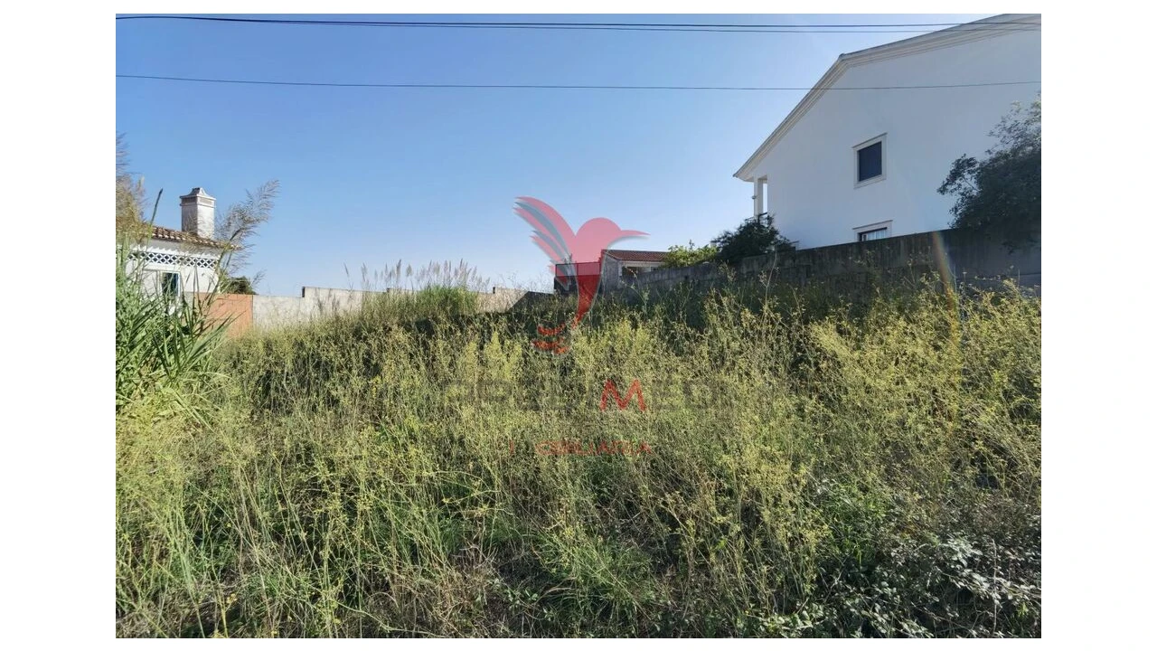 Terreno para Venda em Achete, Azoia de Baixo e Póvoa de Santarém Foto 8
