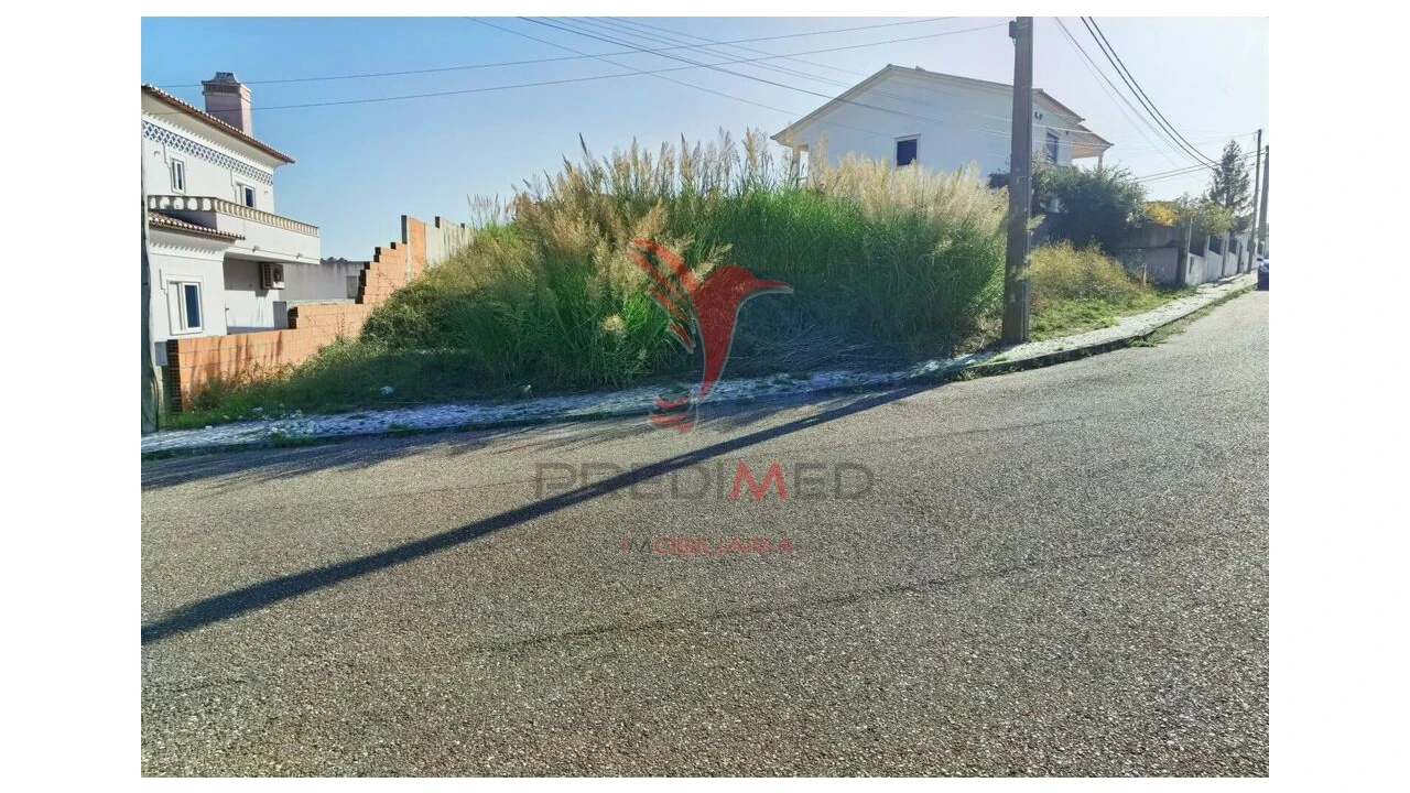 Terreno para Venda em Achete, Azoia de Baixo e Póvoa de Santarém Foto 9