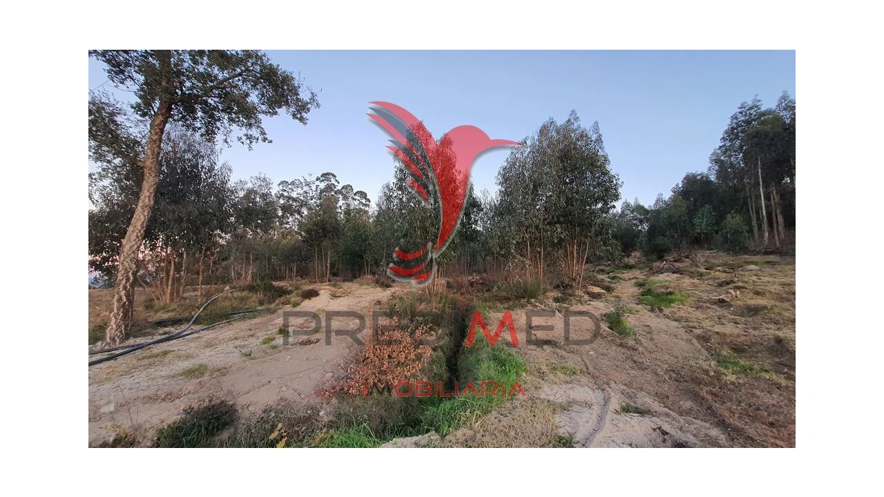 Terreno para Venda em Paço de Sousa Foto 3