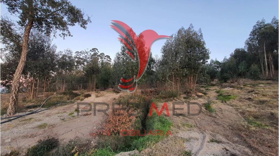 Terreno para Venda em Paço de Sousa Foto 3