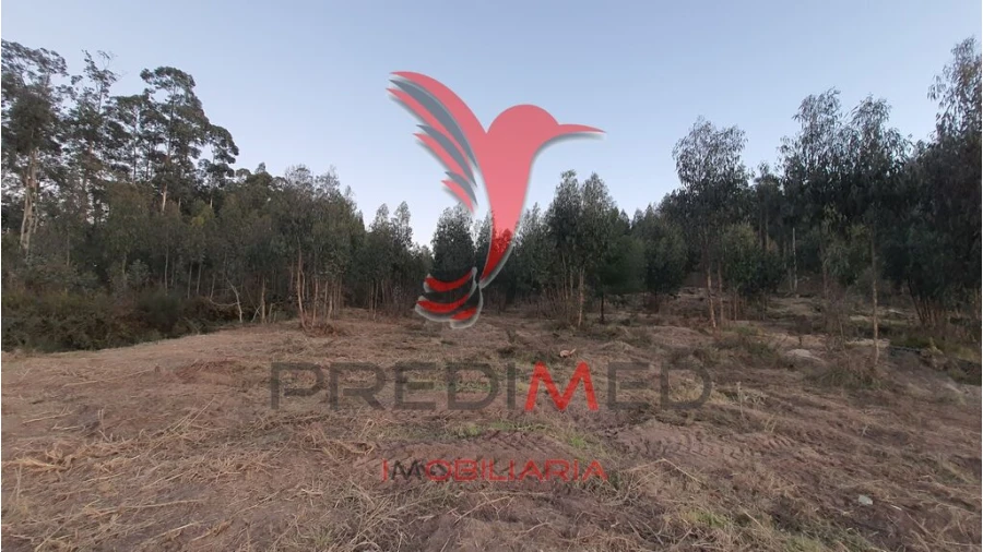 Terreno para Venda em Paço de Sousa Foto 4
