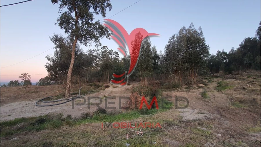 Terreno para Venda em Paço de Sousa Foto 2