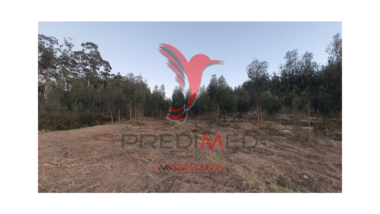 Terreno para Venda em Paço de Sousa Foto 4