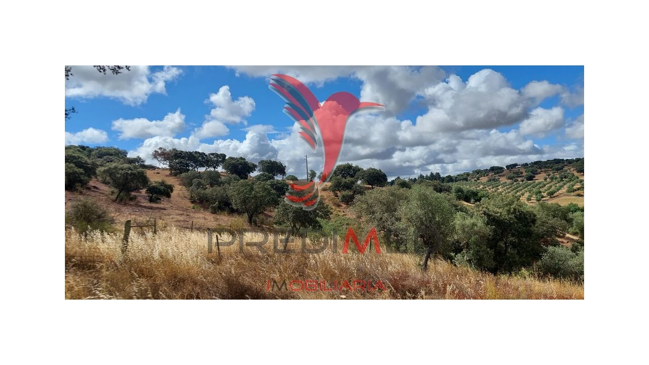 Terreno para Venda em Avis Foto 1